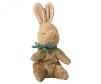 Baby Bunny