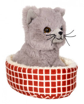 Katze Nala im Korb