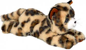 Liegende Katze Jasmin