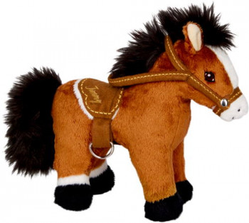 Kleines Pferd Jimmy