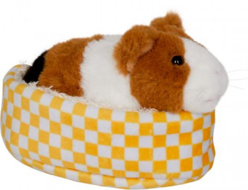 Meerschweinchen Lola im Korb