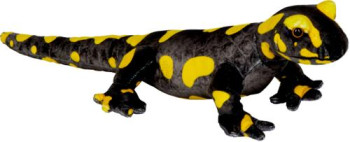 Feuersalamander -Nature Zoom Wild-